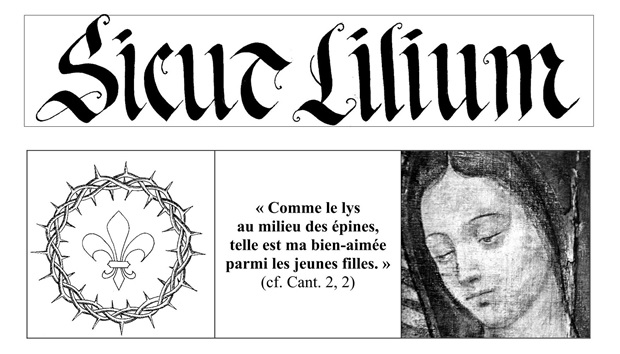 image représentant l'article Sicut Lilium n°6